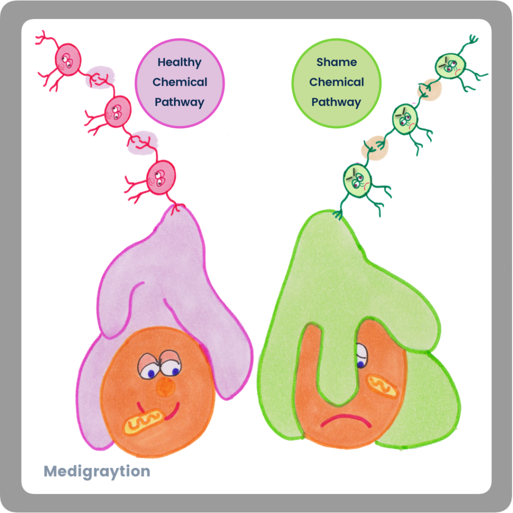 Cells being washed with healthy and unhealthy emotional chemicals.