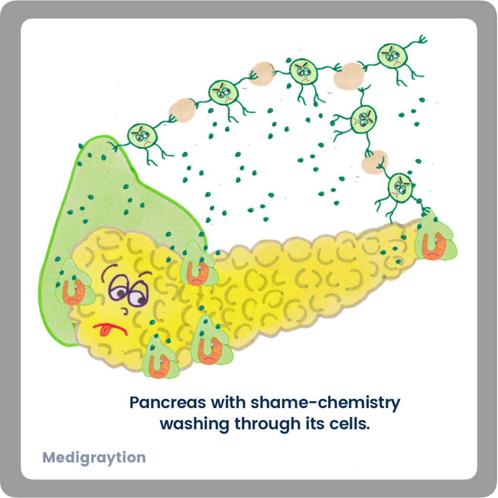 Pancreas washed in shame chemistry.